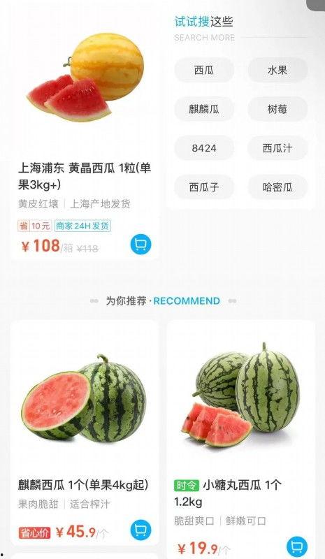 麒麟瓜今日收购价格多少,麒麟瓜今日收购价格创历史新高