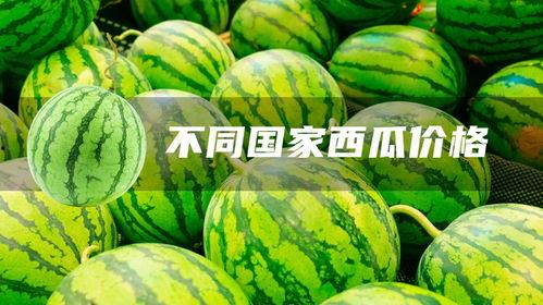 新疆今日瓜价最新行情,今日瓜价行情一览