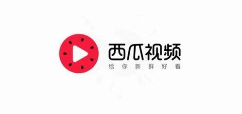 瓜群今日头条,揭秘娱乐圈最新热点事件