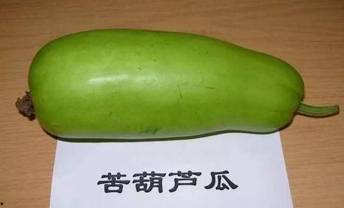 今日热点葫芦瓜,揭秘神秘植物背后的神奇功效与养生之道