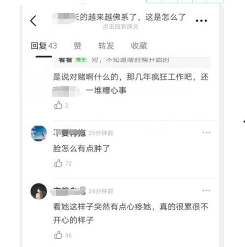 向明星网红借钱怎么借,明星向明星网红借钱的艺术与技巧