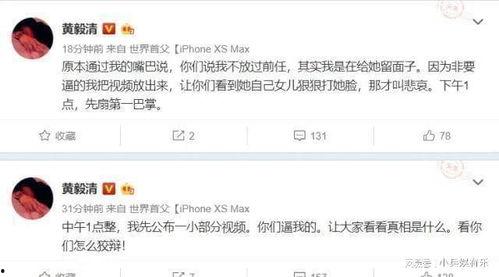 向明星网红借钱怎么借,明星向明星网红借钱的艺术与技巧