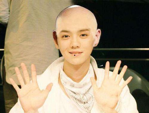 光头明星网红有哪些名字,盘点那些光头明星网红的璀璨名字