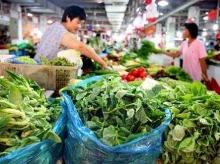 寨里瓜菜今日菜价,新鲜蔬菜价格一览，实惠又健康”