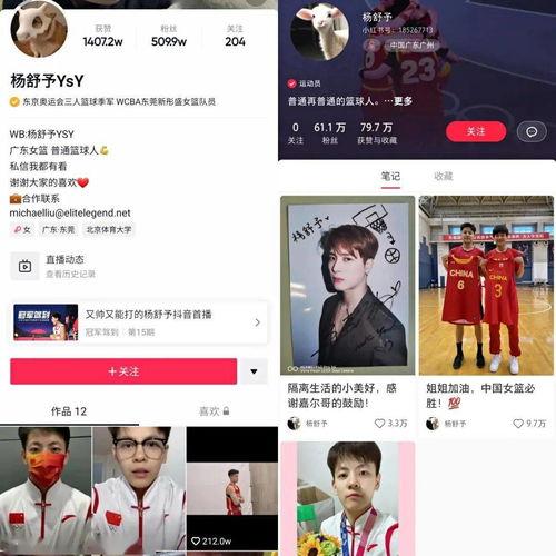 明星网红关注涨粉模板,关注这几点，粉丝量飙升！