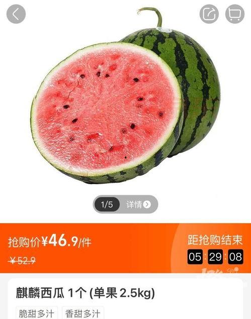 景东今日小瓜价格查询最新