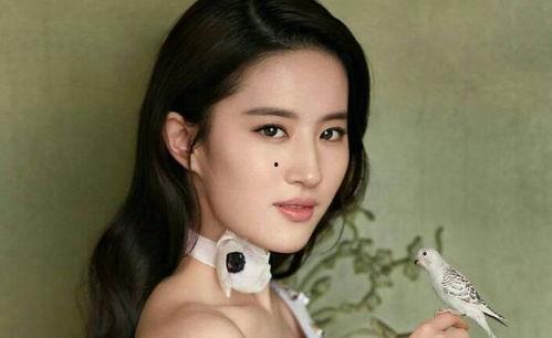 明星网红的神仙颜值,揭秘神仙颜值背后的秘密”