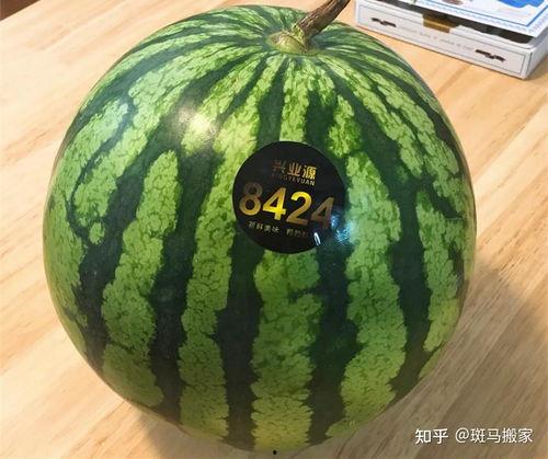 小圆瓜今日价格表图片,市场行情一览