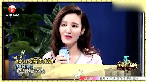 明星网红为家乡沈阳代言,明星网红助力家乡代言，共筑城市新名片