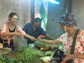 南京卖菜明星网红有哪些,菜市场里的璀璨明星