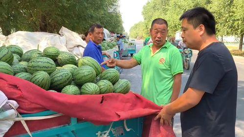 韩寺今日吊瓜价格多少,新鲜上市，品质保证！”