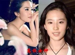 明星网红同款发夹图片,明星追捧的时尚神器