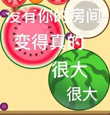 今日吃瓜必吃大瓜不打烊,大瓜不打烊，精彩不间断！
