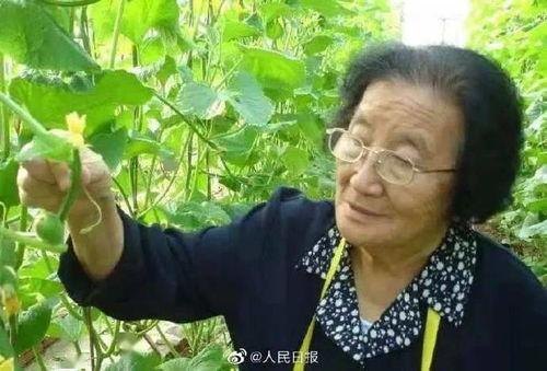 今日吃瓜必吃大瓜不打烊,大瓜不打烊，精彩不间断！