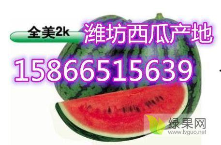 今日2k吊瓜价格多少钱,今日行情一览”
