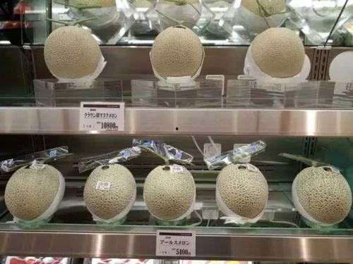 武汉蜜瓜价格今日行情,价格行情看涨