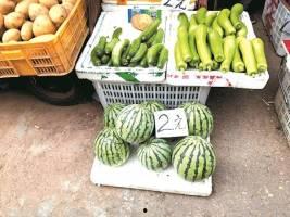 武汉蜜瓜价格今日行情,价格行情看涨