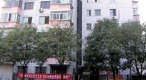 杭州明星网红住的豪宅,明星网红的奢华居住地揭秘
