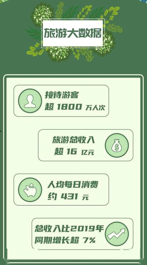 明星网红泄密案例分析报告,揭秘隐私泄露背后的网络风险与应对策略