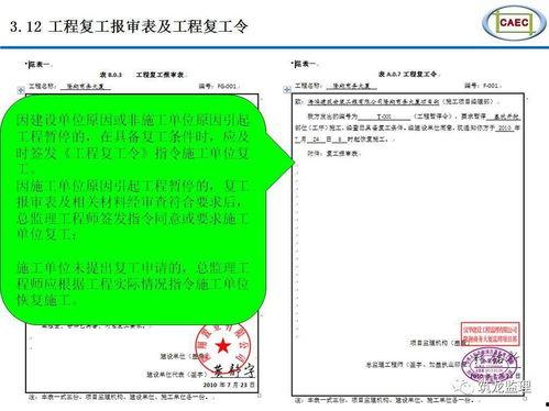 明星网红泄密案例分析报告,揭秘隐私泄露背后的网络风险与应对策略