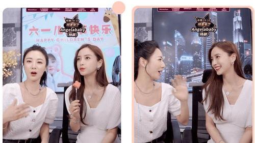 上海明星网红宠物店,萌宠乐园，明星宠物的时尚聚集地