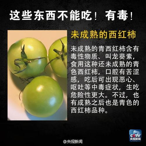 今日吃瓜资讯最新一期,揭秘娱乐圈最新热点事件