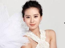明星网红滤镜刘诗诗,明星网红滤镜的神奇魅力