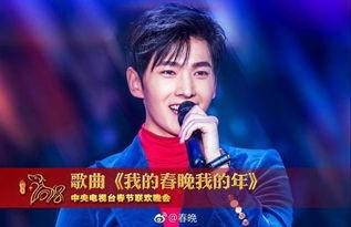 明星网红vs英雄是谁,揭秘与英雄的跨界传奇