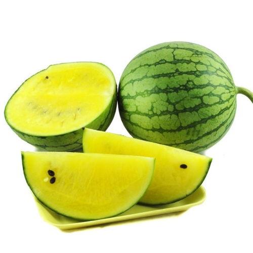 今日新鲜事哈密瓜,甜蜜滋味，夏日清凉来袭