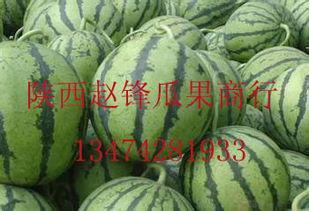 长沙哈密瓜今日价格行情,价格行情一览