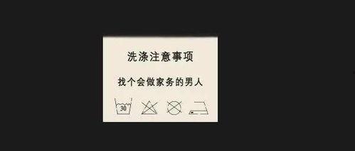 今日摘瓜文案句子怎么写,品味生活趣味瞬间