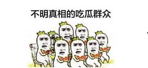 今日群众吃瓜视频,群众吃瓜视频，揭秘娱乐圈幕后故事