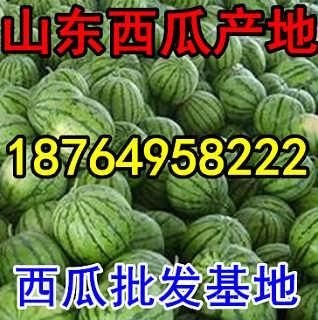 广西今日瓜价,今日瓜价一览，新鲜上市！”