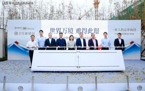 今日吊瓜行情价格表最新,价格波动解析与市场动态概览