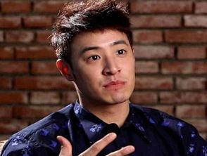 明星网红阿峰简介图片,网红明星的璀璨人生掠影