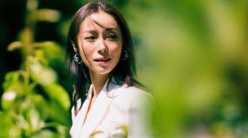 明星网红我是云南的,揭秘明星网红“我是云南”的独特魅力
