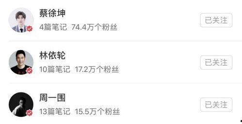 关注明星网红的网站,热门网站聚焦焦点解析
