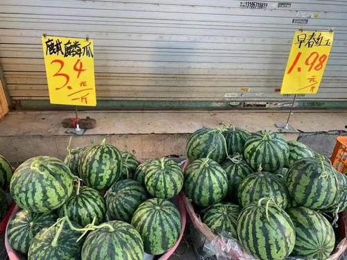 江苏盐城麒麟瓜产地今日价格,品质瓜果，实惠之选”