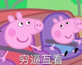 汤姆猫明星网红的秘密,背后的故事与成功秘诀