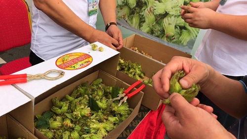 今日杨姓大瓜,娱乐圈再掀波澜！