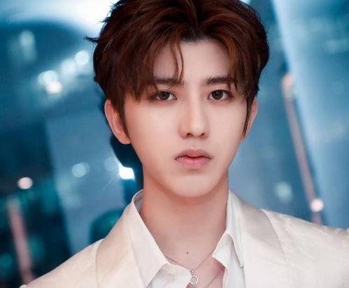 三四线明星网红男粉丝,男粉丝的狂热追随与情感寄托