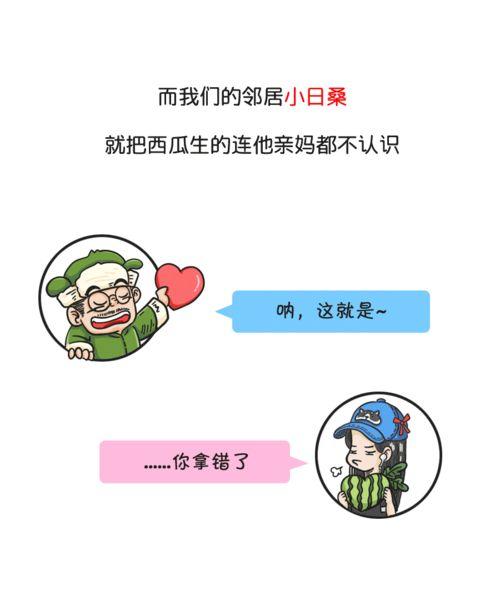 今日吃瓜历史记录,回顾历史，品味人间百态