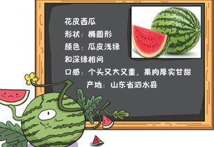 今日吃瓜历史记录,回顾历史，品味人间百态