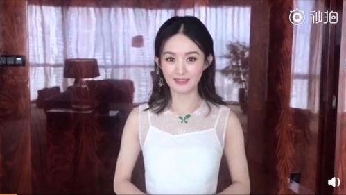 身价过亿明星网红排名,揭秘网络红人财富传奇