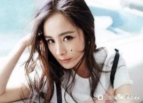 身价过亿明星网红排名,揭秘网络红人财富传奇