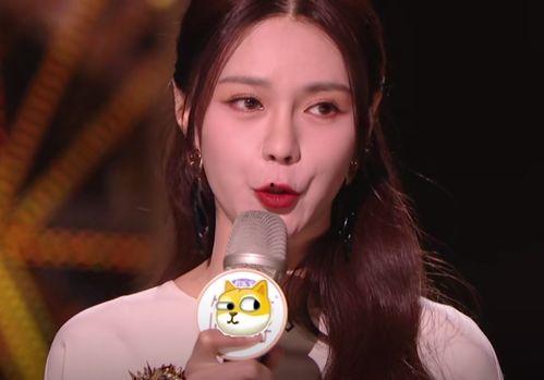 明星网红小歌手是谁,揭秘当红小歌手背后的明星网红魅力