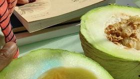 今日吃瓜指的是什么呢,网络热词背后的文化现象