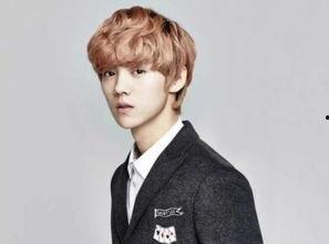 长得像的男明星网红,揭秘与明星神似的人气男网红