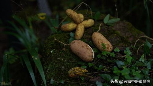 今日头条八月瓜