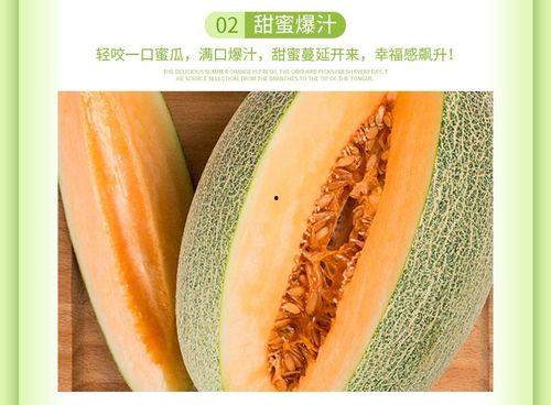 哈密瓜今日价格海南生产